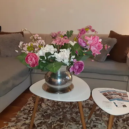 Apartment Hedi